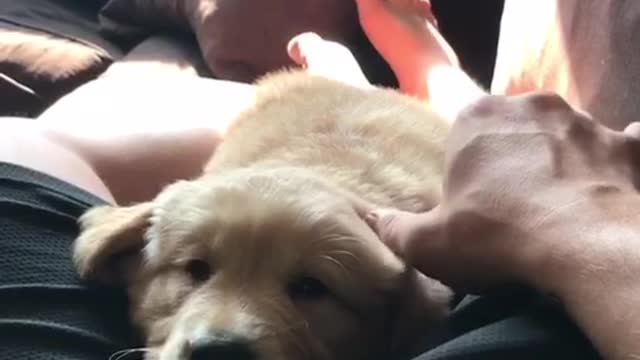 If I fits, I sits
