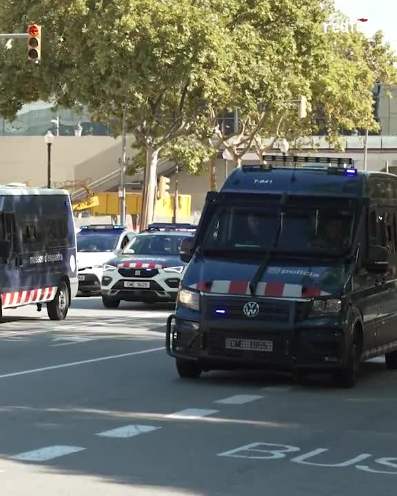 Neo-Nazis from Spain’s fascist National Democratic Party