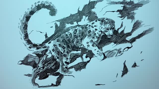 How to Draw a Snow Leopard