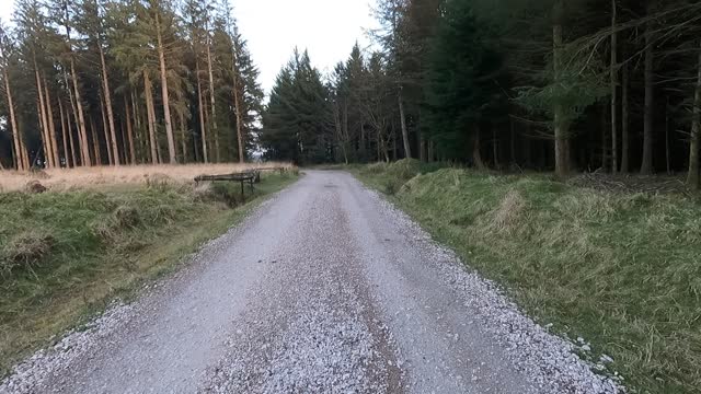 Hike and vlog. Fernworthy forest. DARTMOOR. GoPro