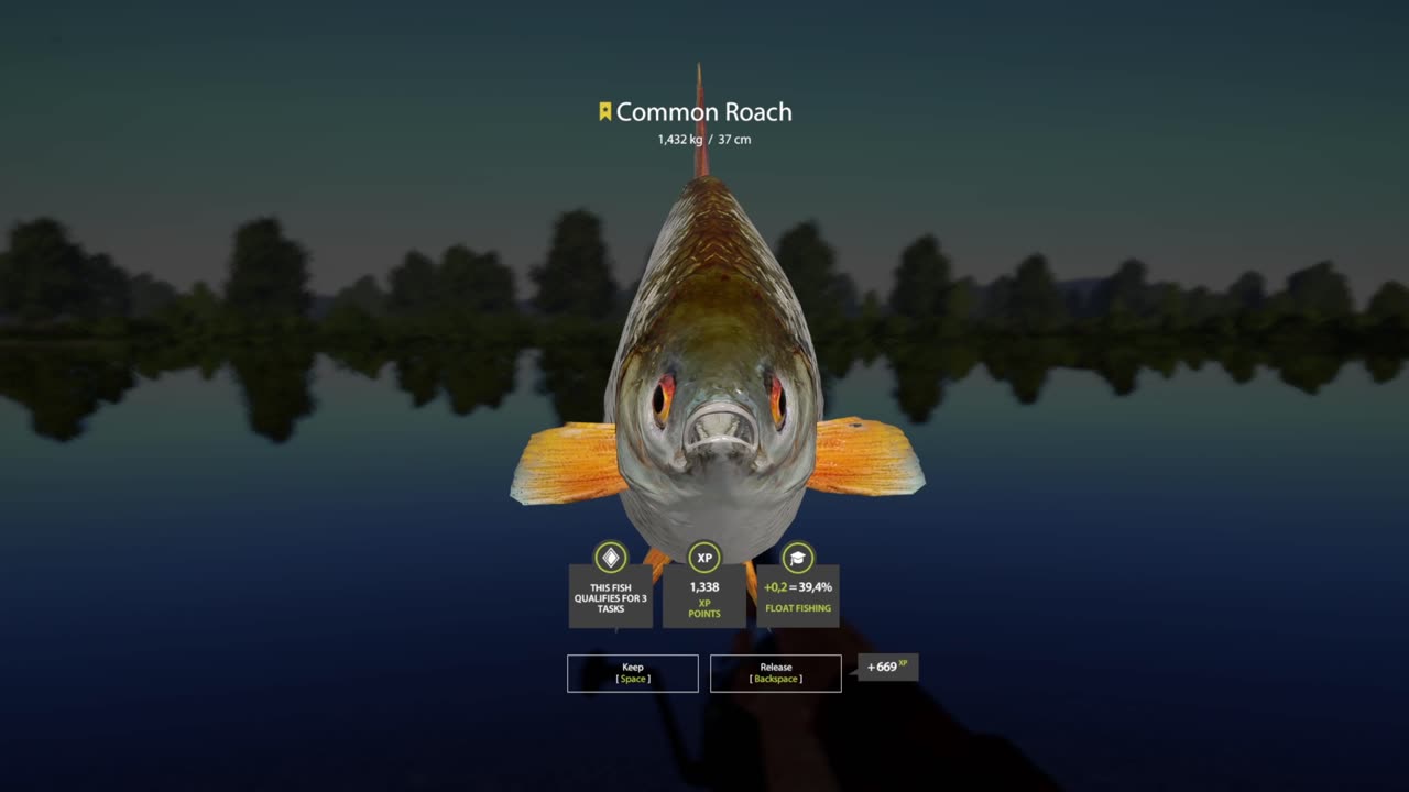 Trophy Common Roach, 669xp, Belaya river, Russian fishing 4 pc game