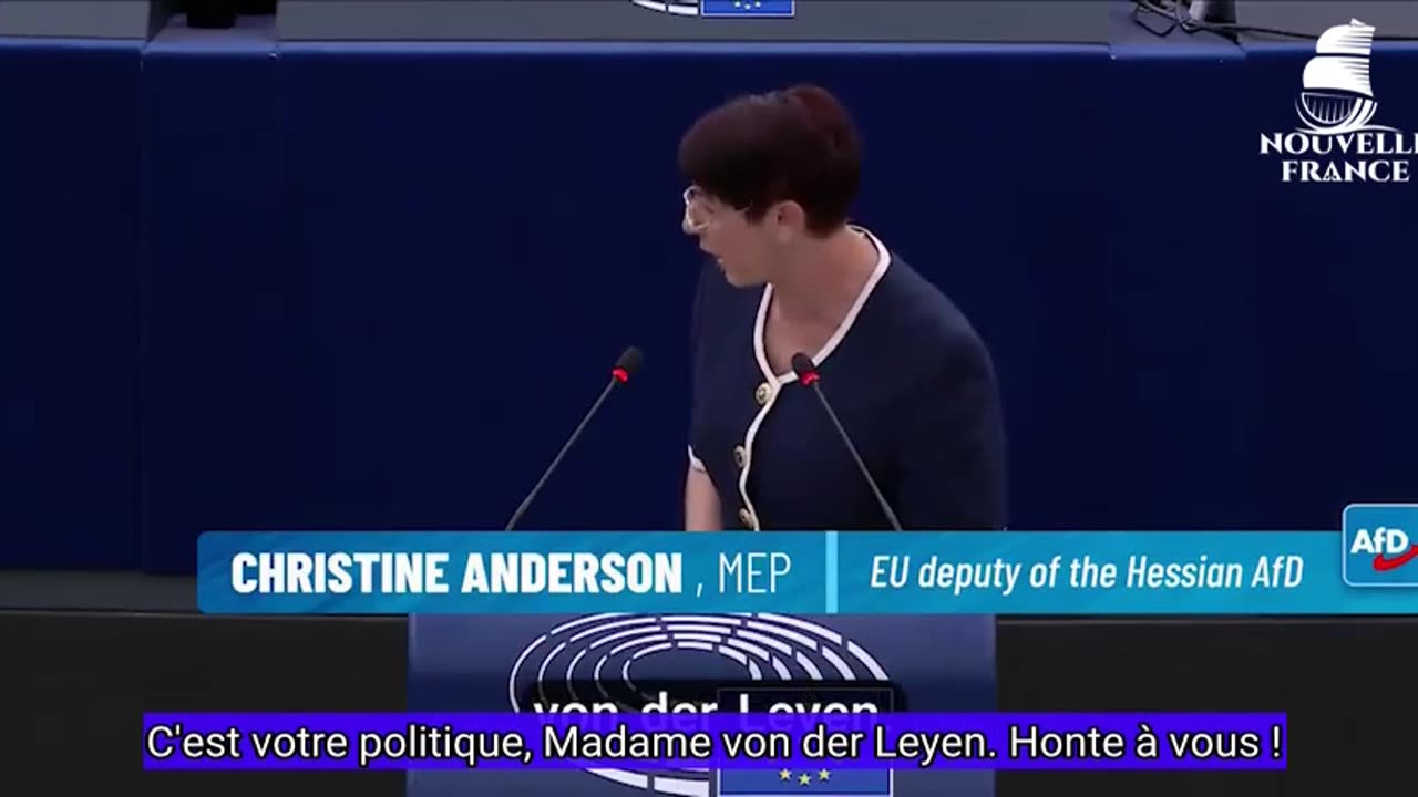 Le micro de l'eurodéputée allemande Christine Anderson a été coupé