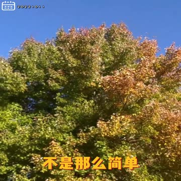 20221011文贵先生GETTR： #俄乌战争：所有问题背后都有共产党的影子。西方世界都知道最大的危机就是共产党，人民币挑战美元，中东布下大局，能源挑战美国。