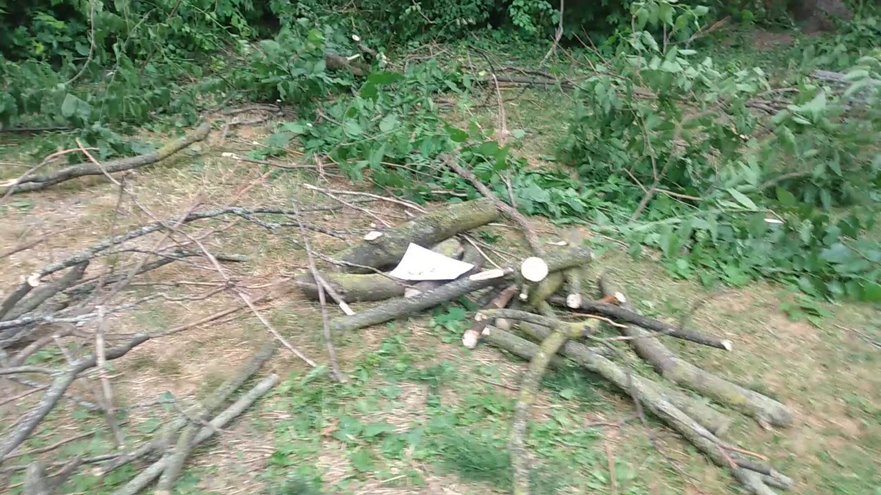 Dilley in the wild 2