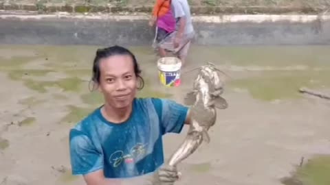 This is a beautiful and charming water-dwelling species