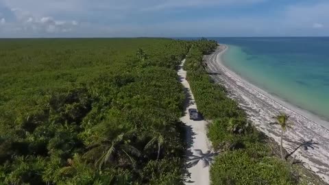 Beautiful Nature 😍. Nature and meditation video