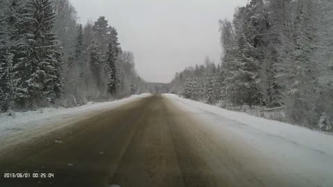 Close Call With Russian Road Hunters