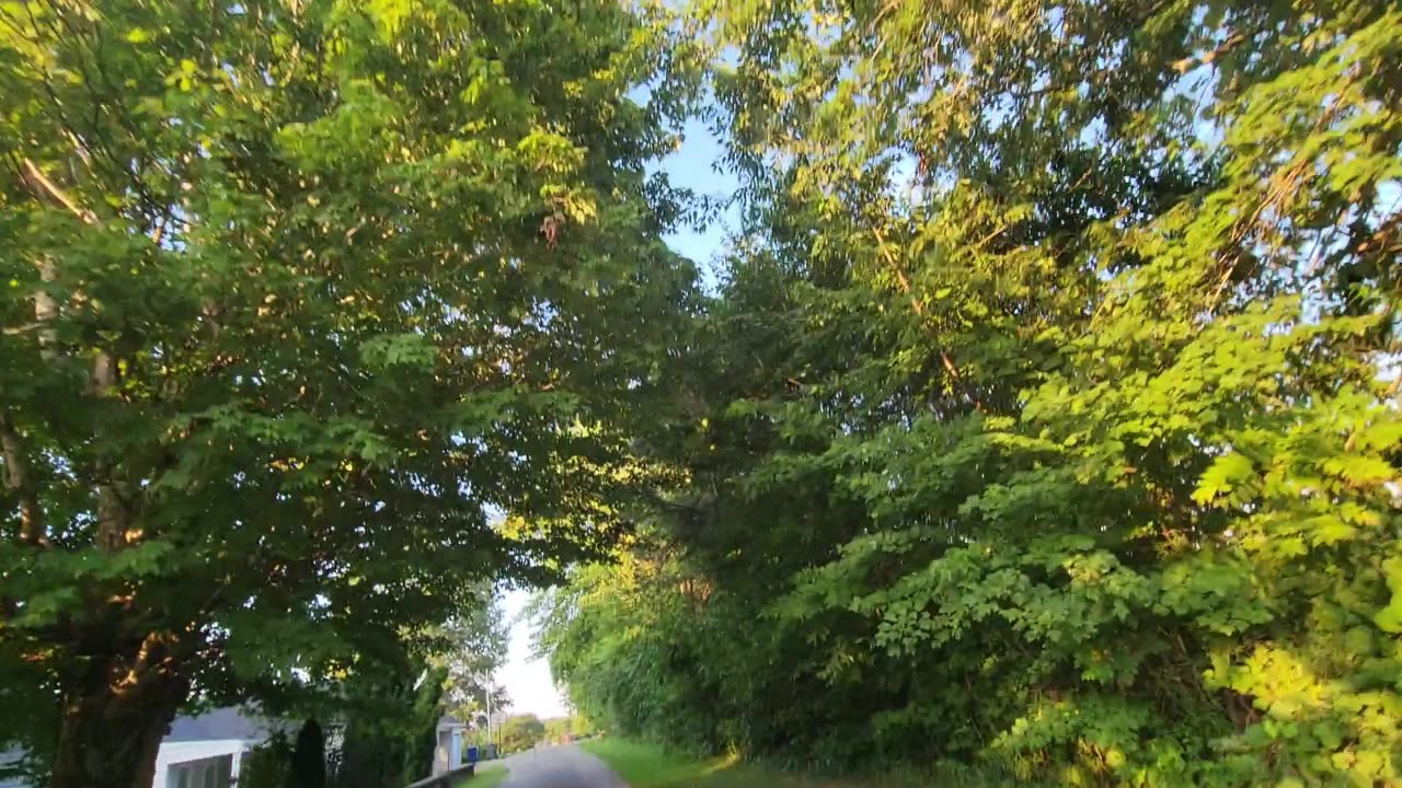 QUICK RIDE TO THE CEMETERY ON THE ATV