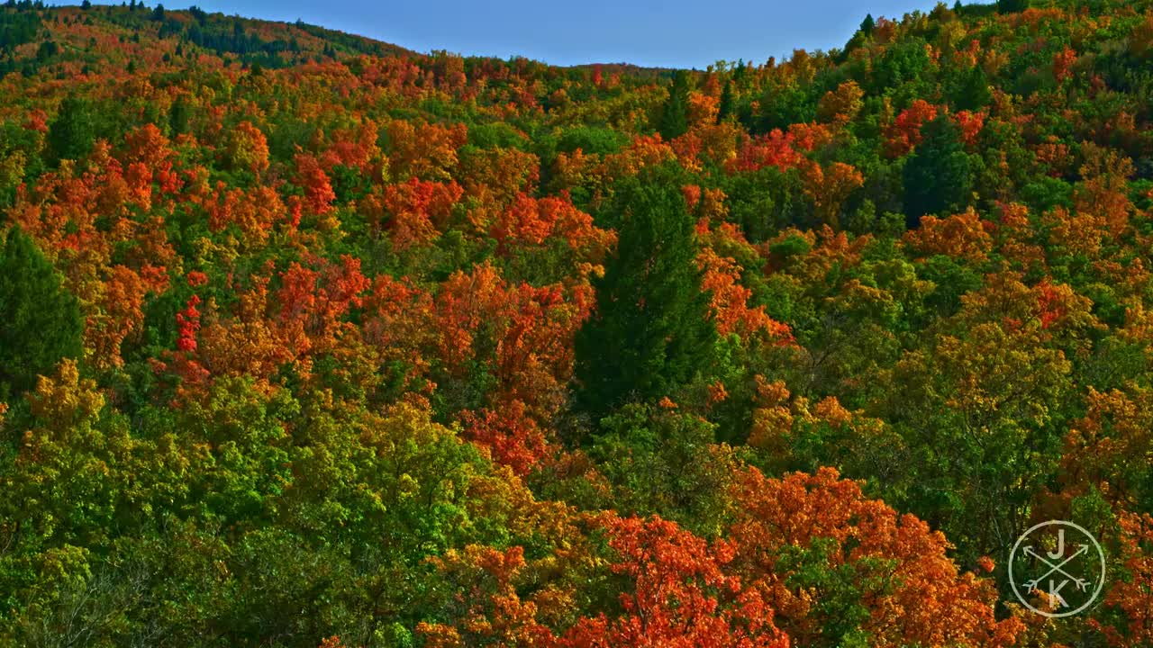 COLORFUL HARVEST 8K HDR (FUHD) 60P (DolbyVision)