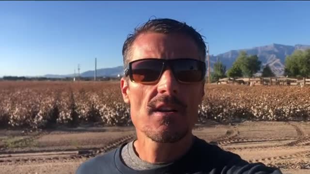 Kari Lake is on the RISE!!!