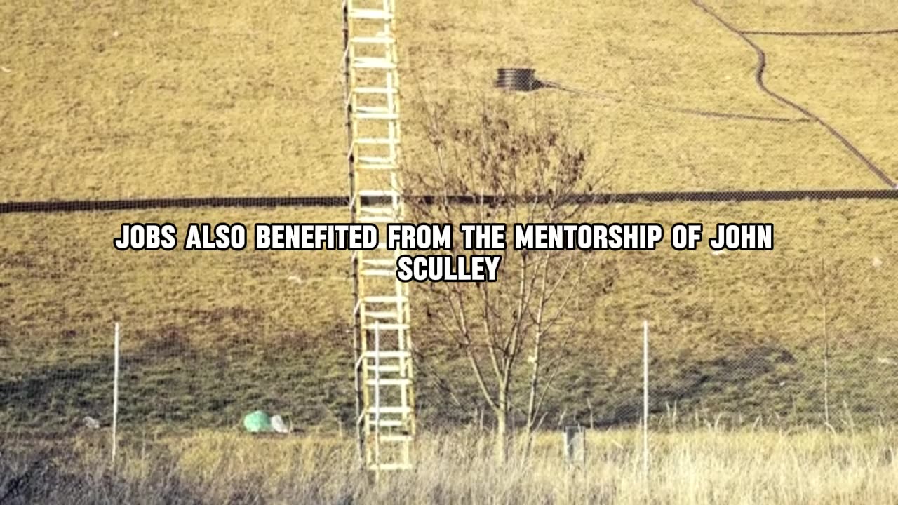 The Importance of Mentorship