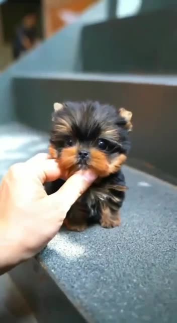 Cuteness to infinity 😊😍😊