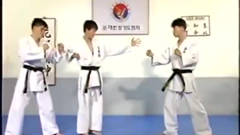 Hapkido