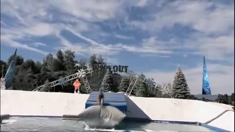 Wipeout Season The Best of