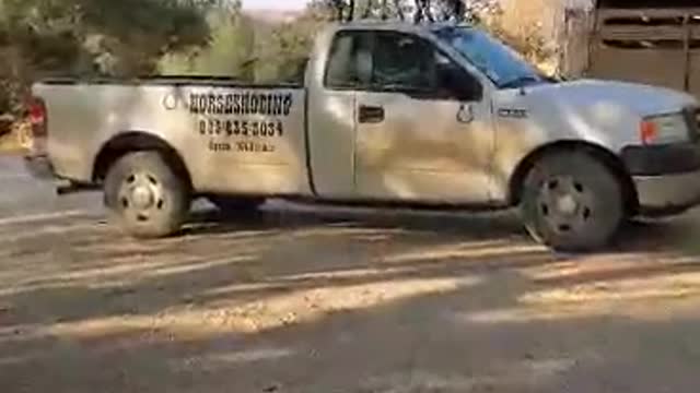 Baby Goats Dance on Top of Truck