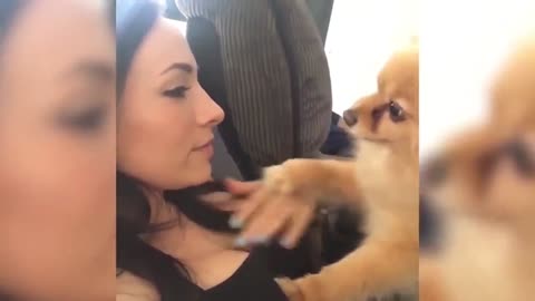 FUNNY ANIMALS FAILS 🤣🤣 WILL MADE YOUR DAY 💕💕 PART-10
