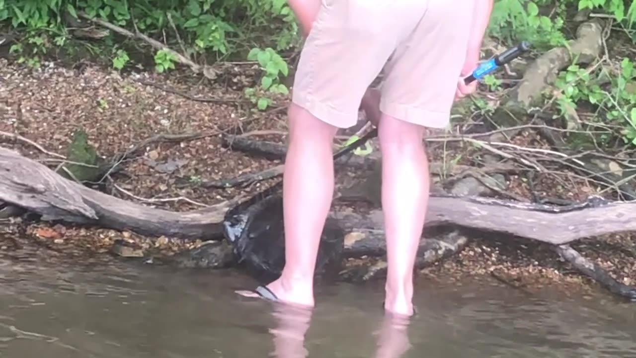 Husband Saves Struggling Bird