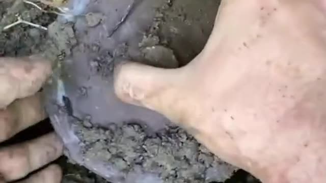 A treasure? No!