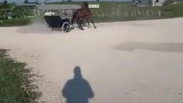 Fast and Furious: rural drift