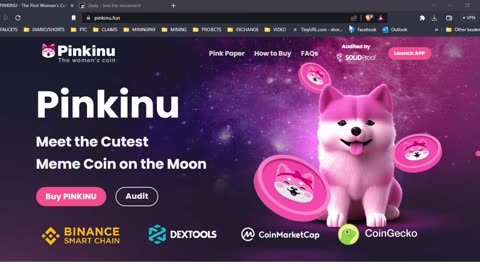 THE FIRST WOMENS MEME COIN EVER PINKINU BINANCE DEXTOOLS