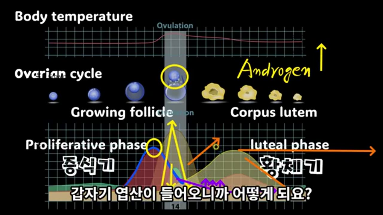 29강소음인자연유산과 태음인유산3강, 반룡인수한의원, 강남구청역, 한태영원장님, 사상의학