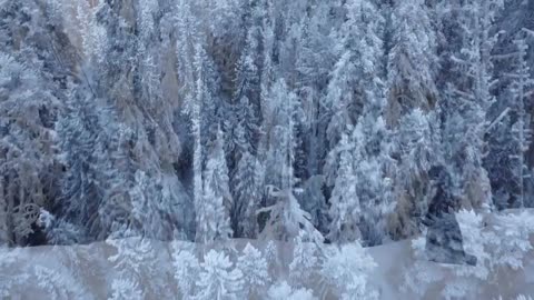 THE,.WOLF SONG,._:Nord -ic Lullaby _-Vargsangen