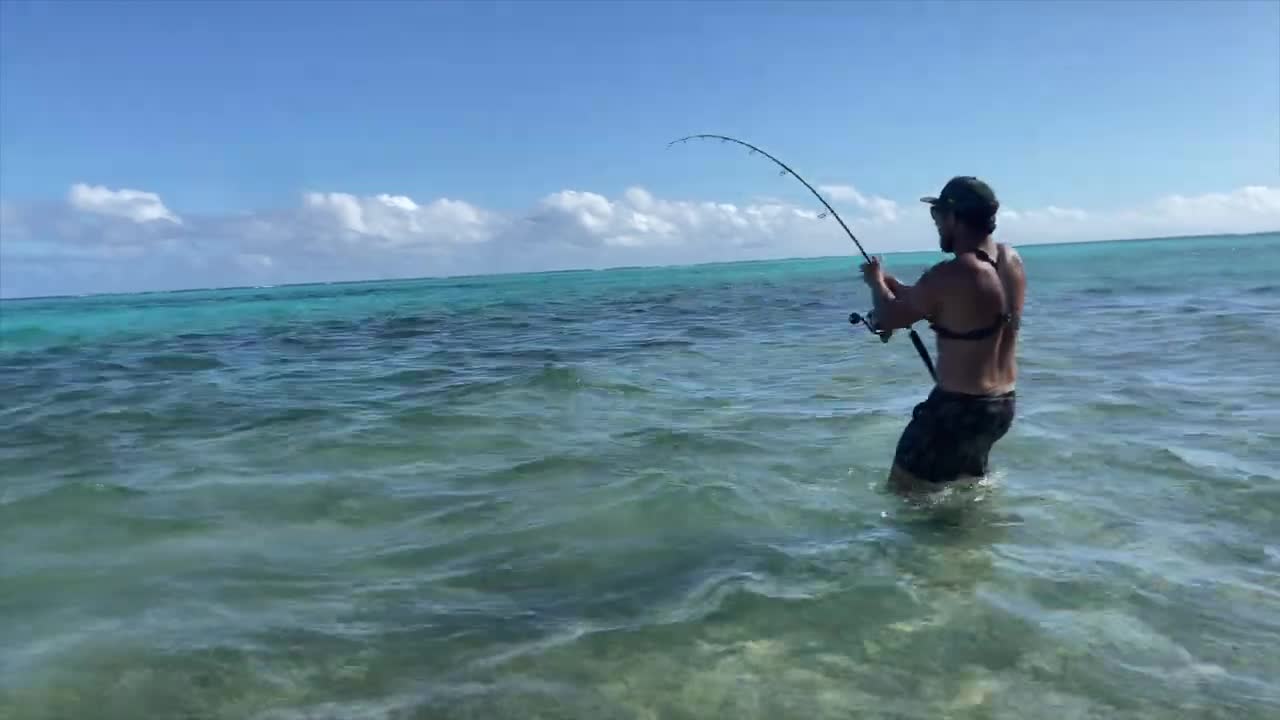 Giant Trevally in cyrstal clear sea water