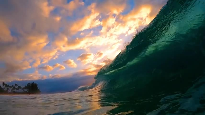 Jelly at sunset, wonderful waves