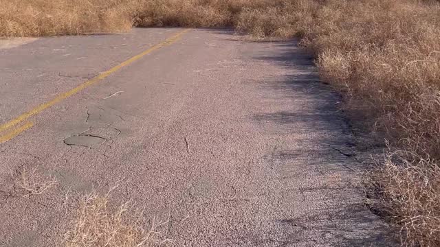 Tumbleweed Migration Takes Over Eastern Colorado