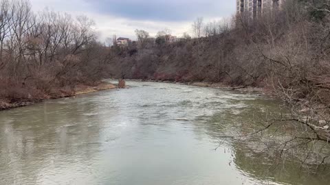 Humber River Toronto flow in February
