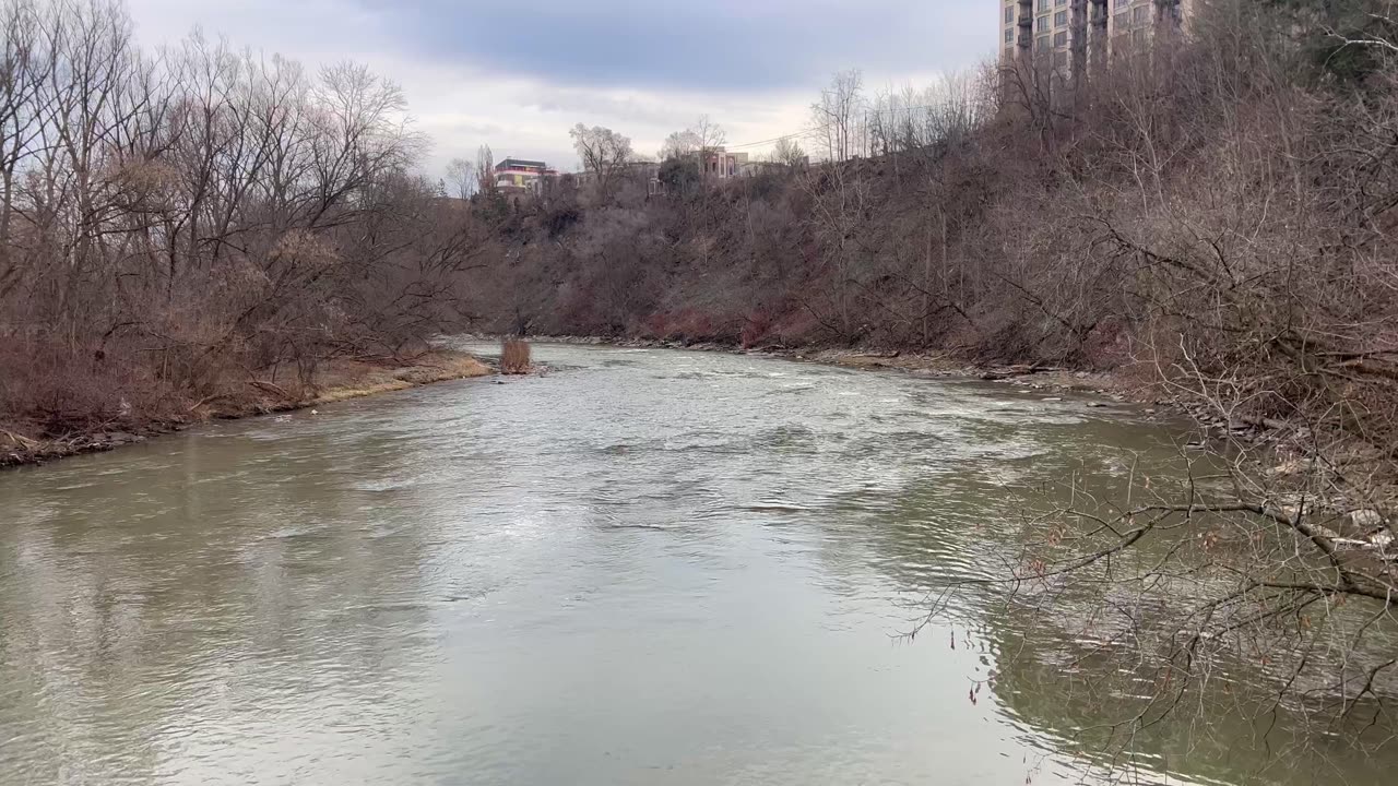 Humber River Toronto flow in February