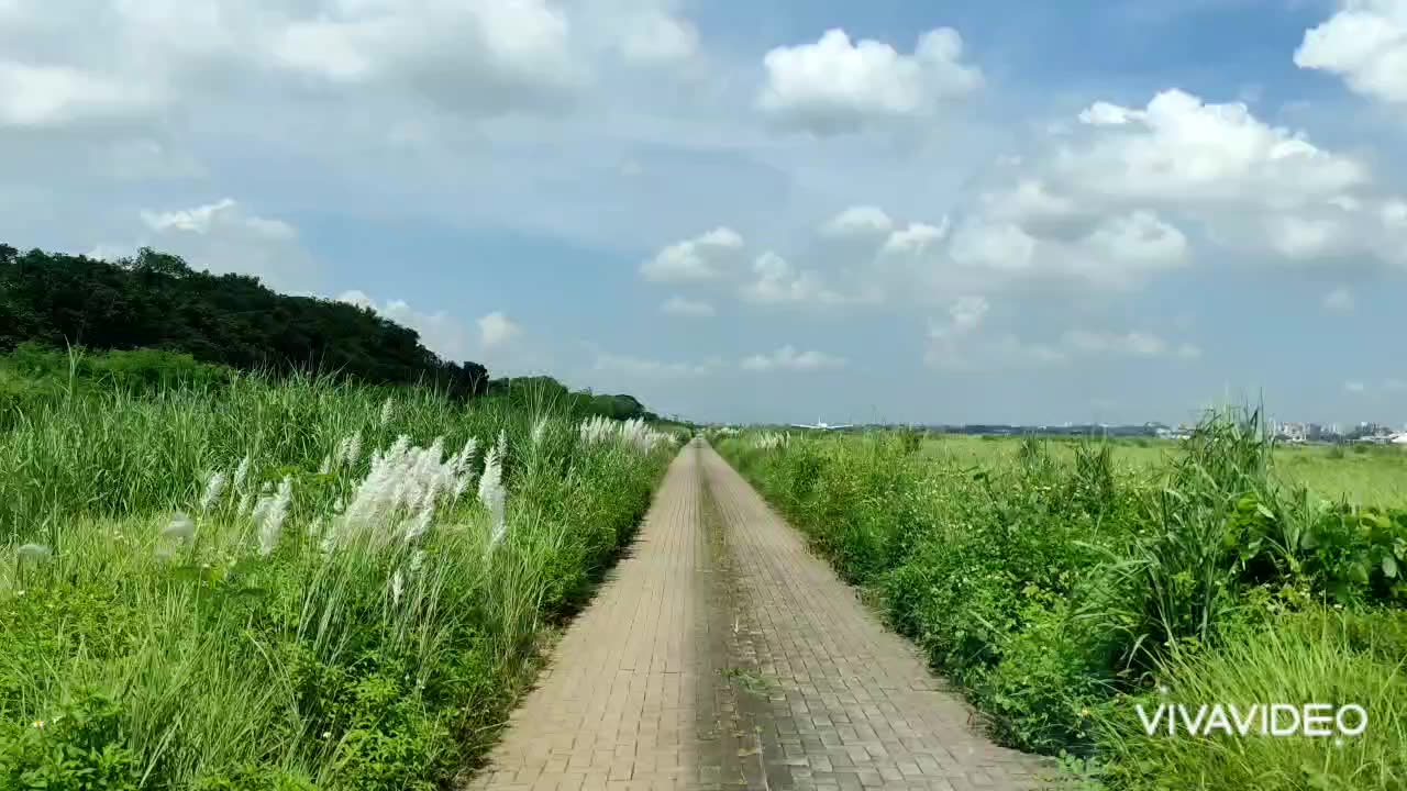 A beautiful scenes rural aircraft take off,summer session