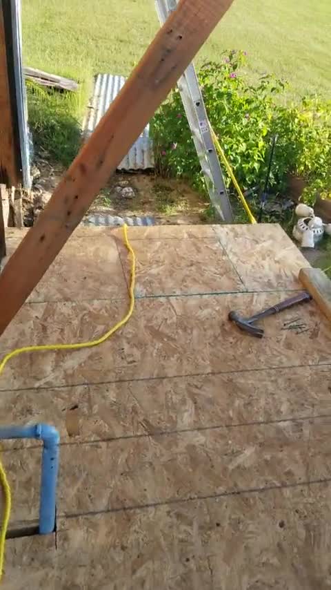 The honey Money project