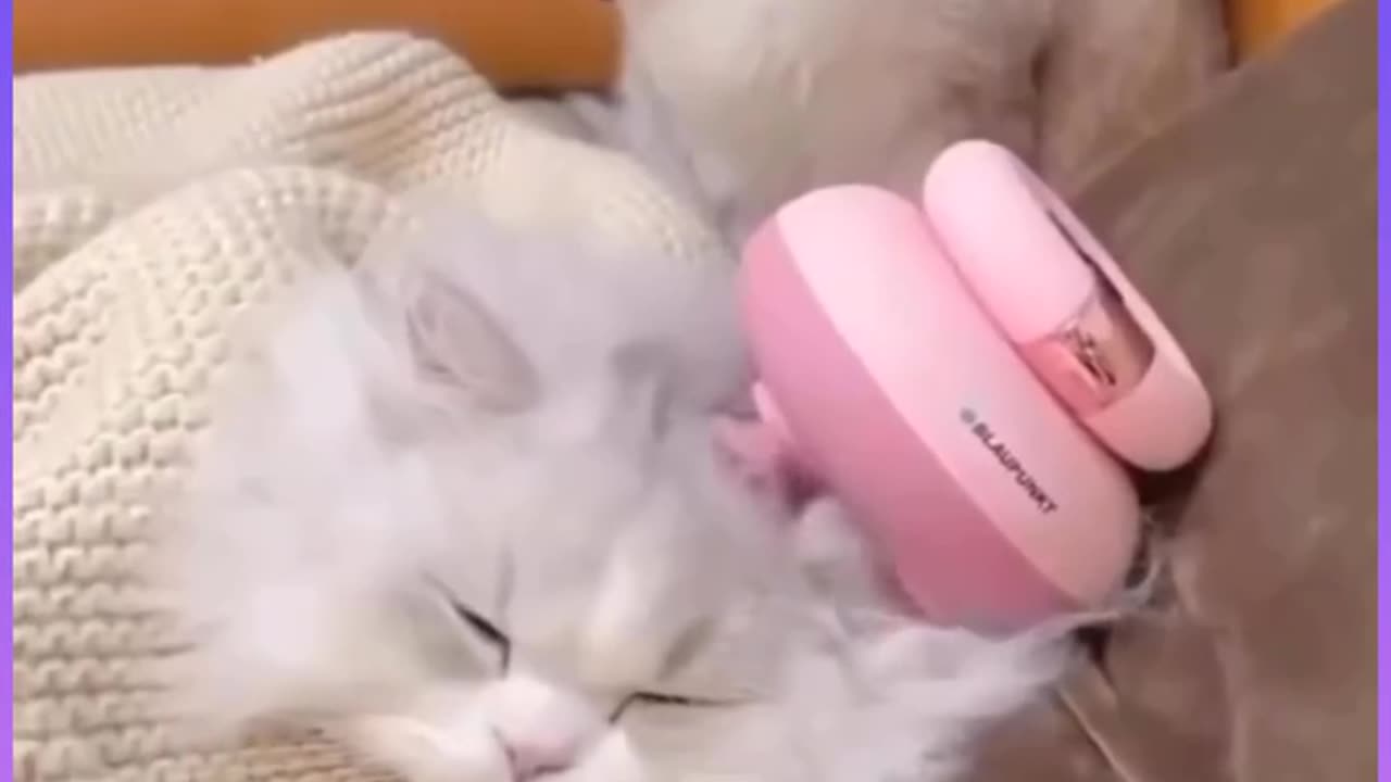 so cute