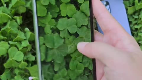 Wow 😮 Samsung galaxy s22 ultra vs iPhone 14 hide and seek game #samsungs22ultra