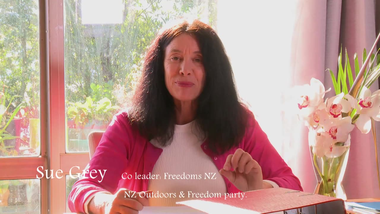 Sue Grey explaining Lawyers Disciplinary Tribunal Freedom of Speech Decision