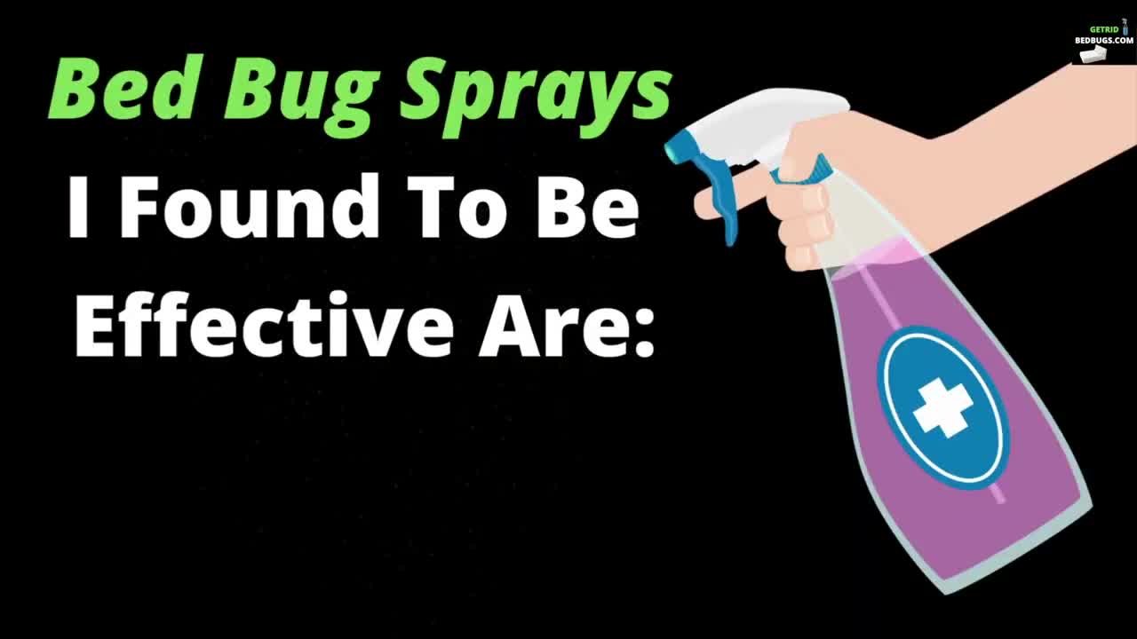 BEST BED BUG SPRAY