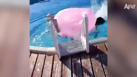 Fails of the Week