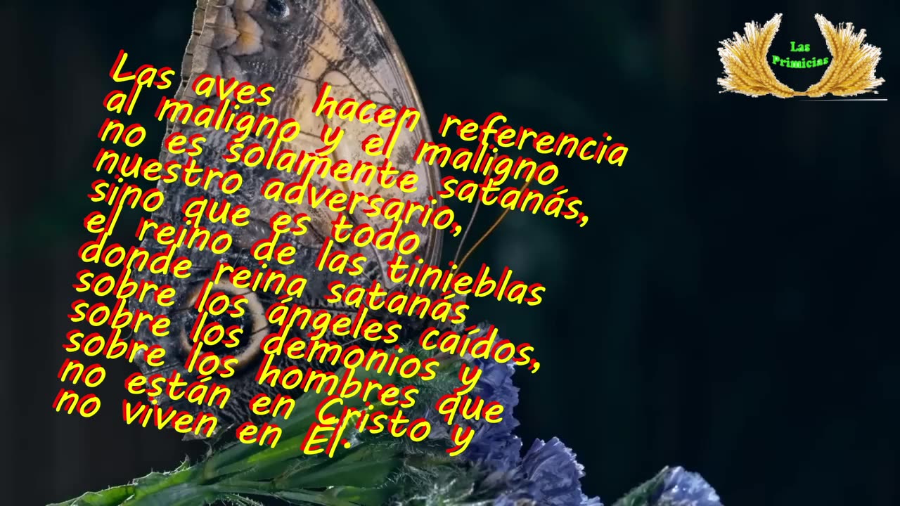 Capítulo 28 - Las parábolas de la apariencia del reino de los cielos (2/2)