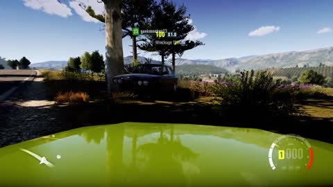 Dude got the bumper delete in Forza Horizon 2