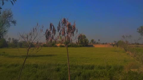 Way to layyah