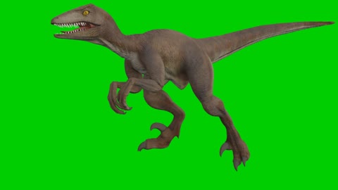 Dainasor