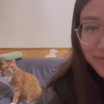 The Amazing Ability of Cats