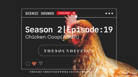 Scenic Sounds | Season 2: Episode: 19 | Chicken Coop (ASMR)