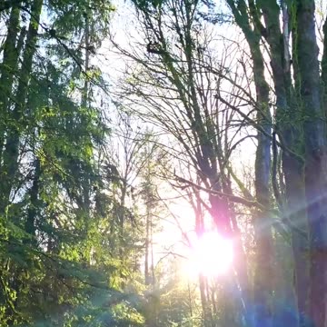 Paradise Through The Pain