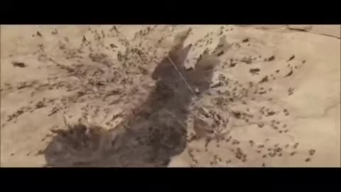 Giohollowchannelplus - Disasters Movies Spectacular (2019)