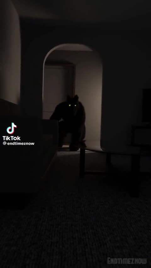 Dog man invaded home