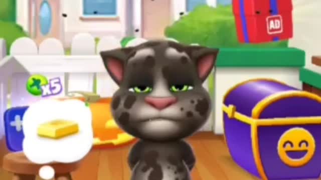 My Talking Tom Funny Cat