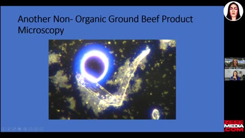 Dr. Ana Mihalcea - Major Chain Grocery Meat FULL of Structures