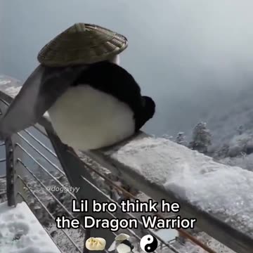 Lil bro thinks he's the Dragon Warrior